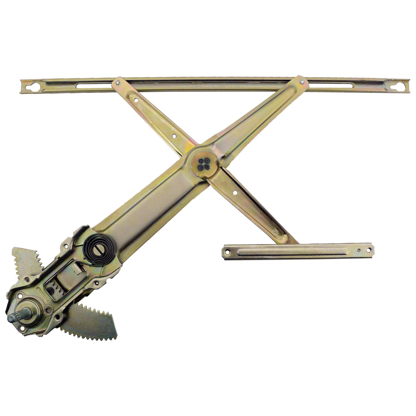 WAI 81995 main image
