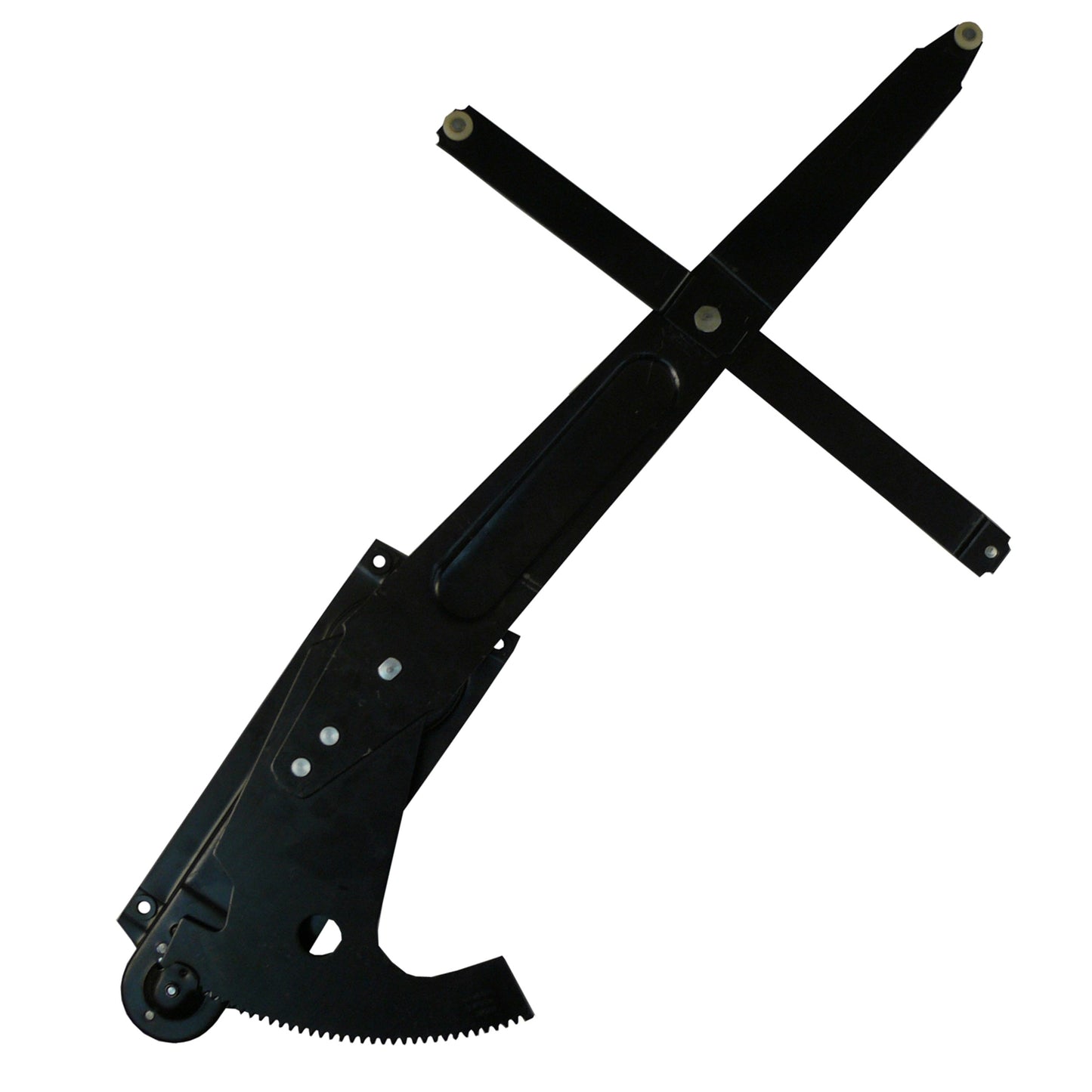 WAI 84002 image 2
