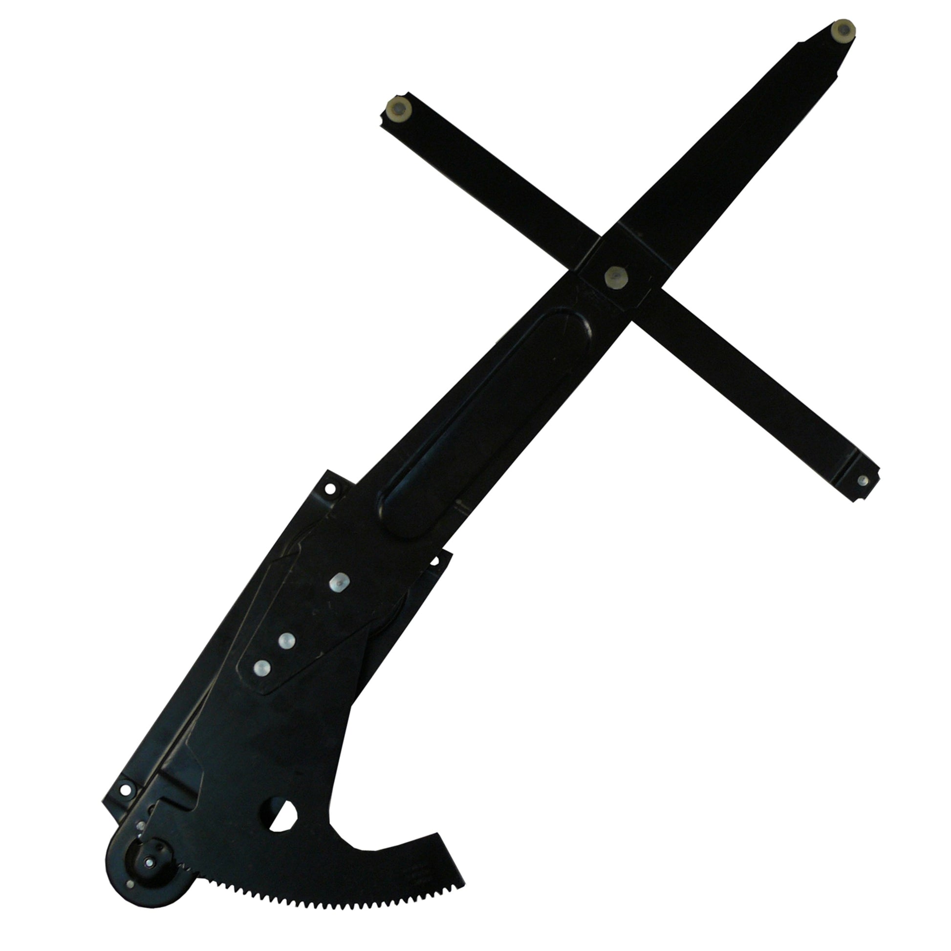 WAI 84002 image 2