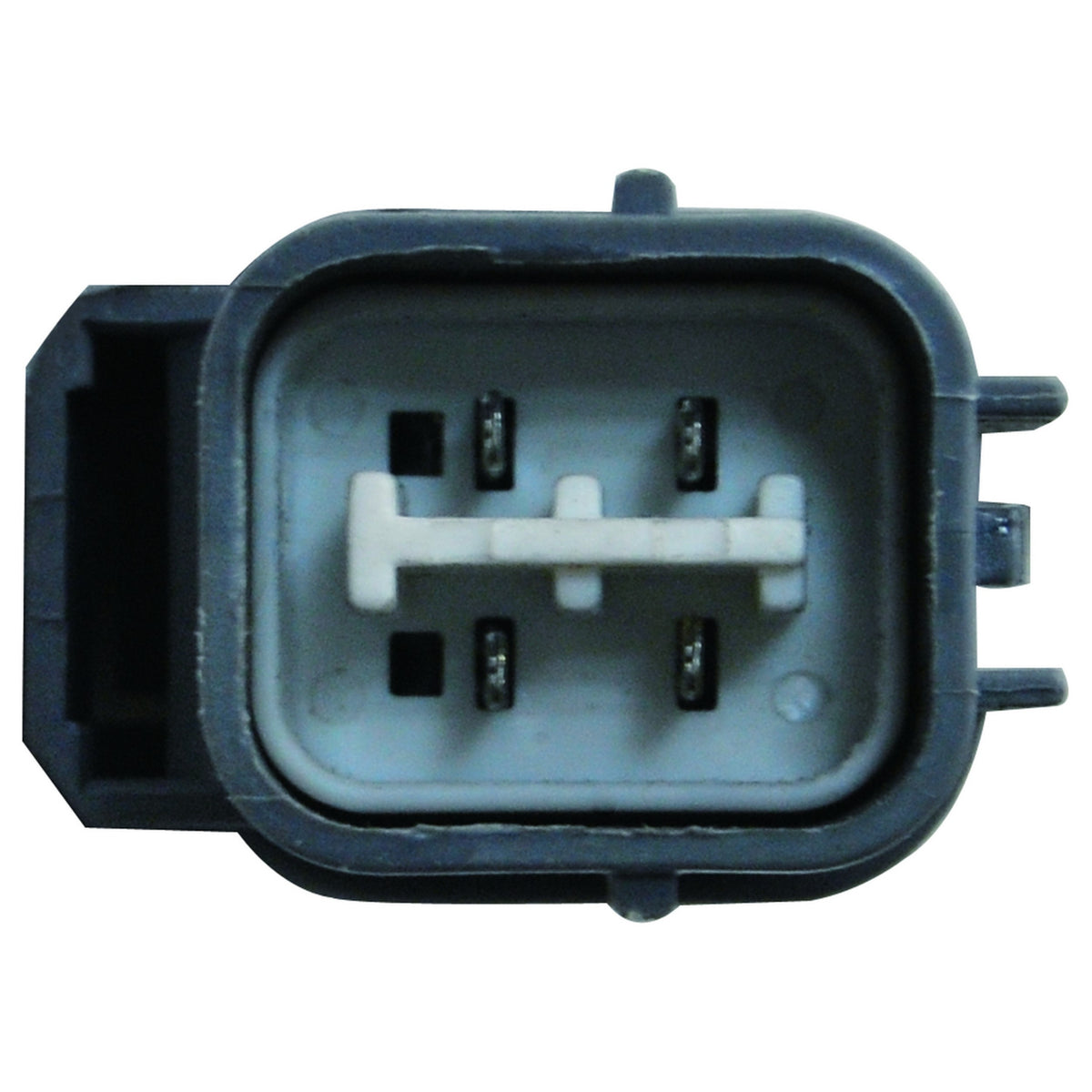 WAI DST17424