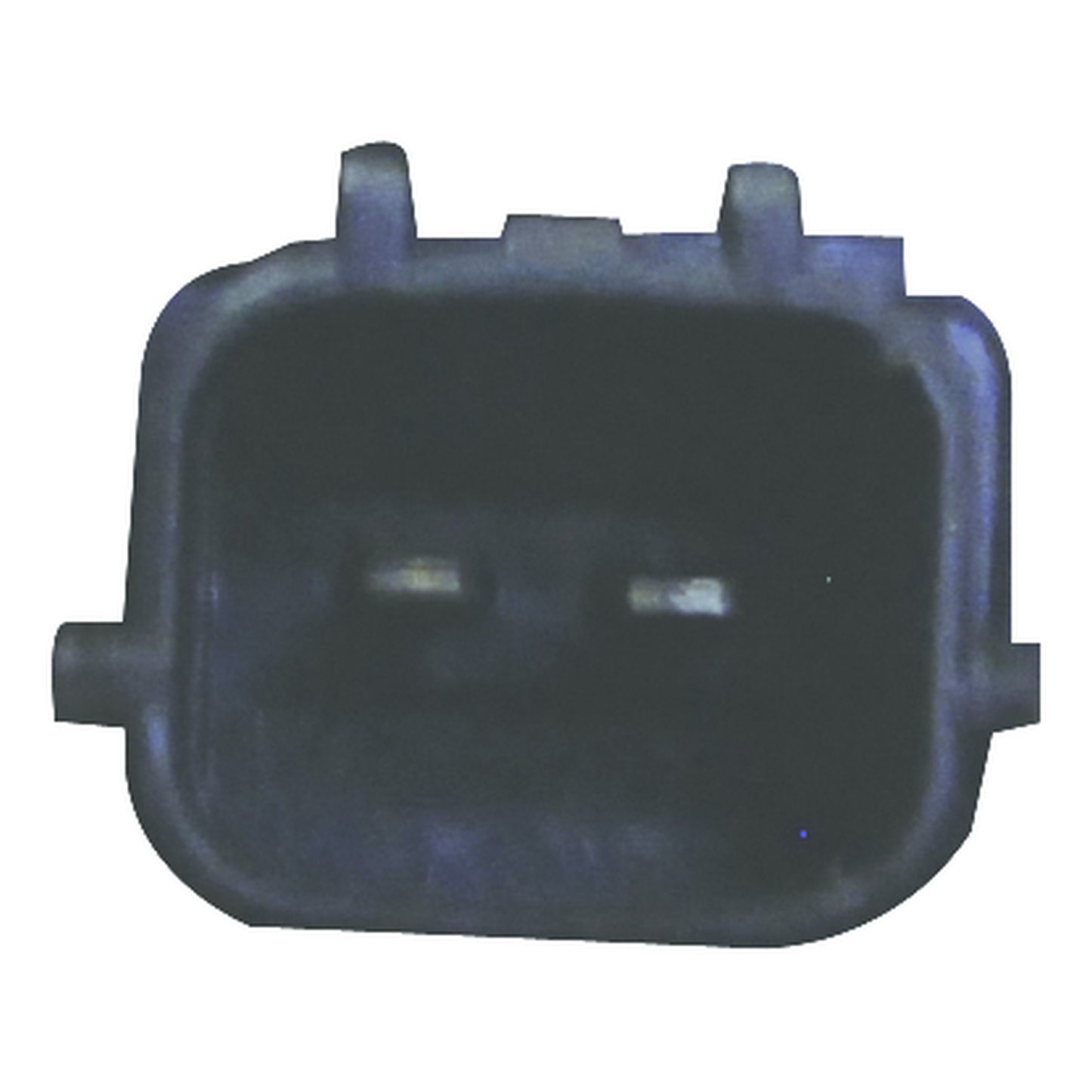 WAI Distributor DST7004 image 4