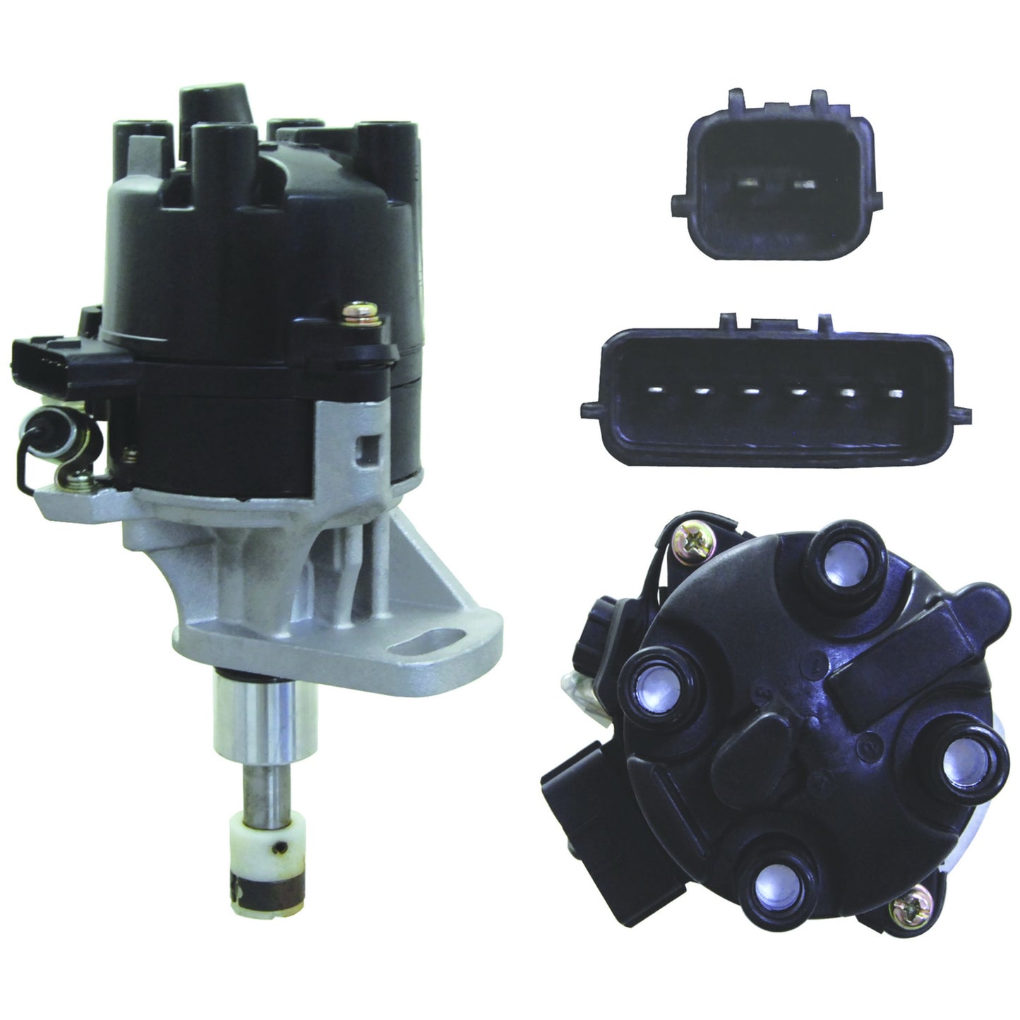 WAI Distributor DST7004 image 5