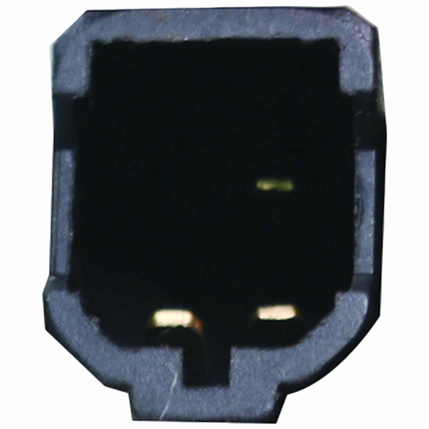 WAI WPM4079 product image