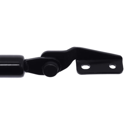 Strong Arm Tailgate Lift Support 4221R