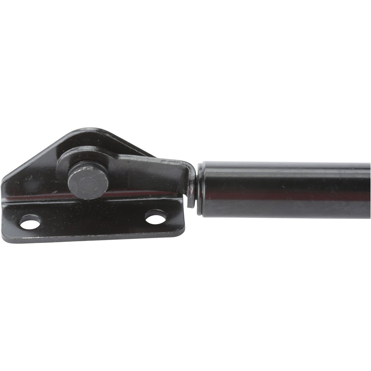 Strong Arm Tailgate Lift Support 4222
