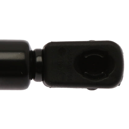 Strong Arm Lift Support 4488