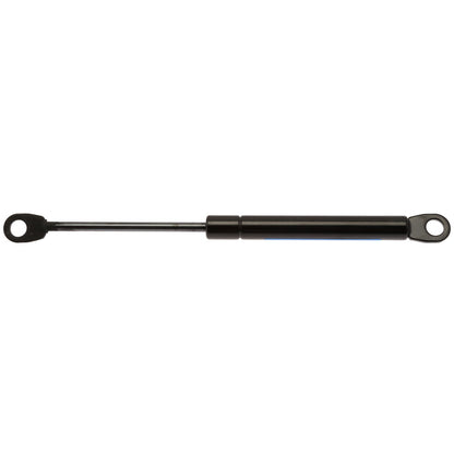 Strong Arm Lift Support 4698