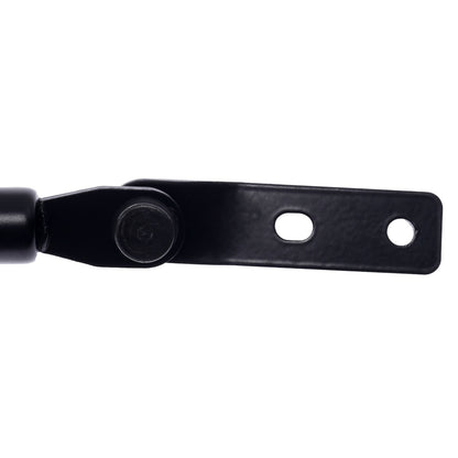 Strong Arm Tailgate Lift Support 4869L