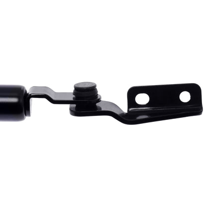 Strong Arm Tailgate Lift Support 6219L