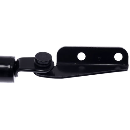 Strong Arm Tailgate Lift Support 6220L