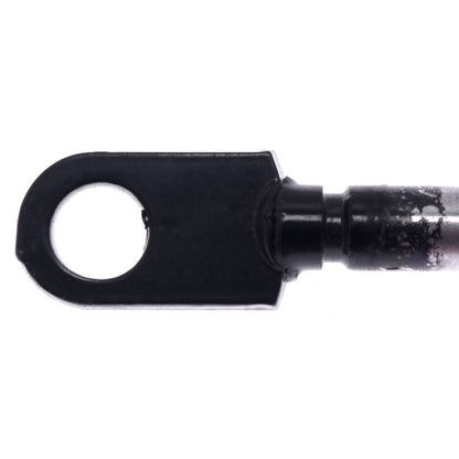 Strong Arm Back Glass Lift Support 6696