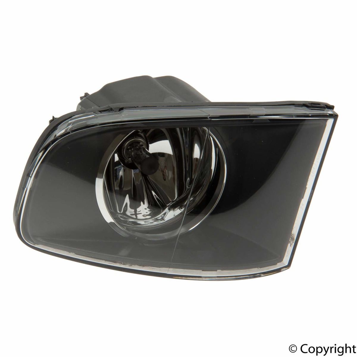 ZKW Fog Light Assembly
