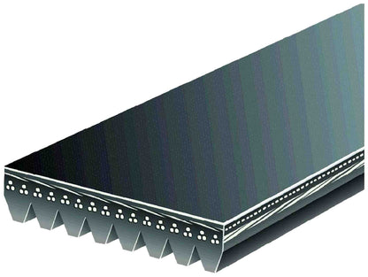 Gates Serpentine Belt 2PJ800