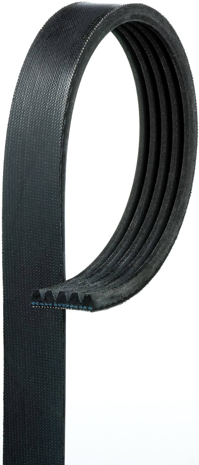 Gates Accessory Drive Belt 6669BR