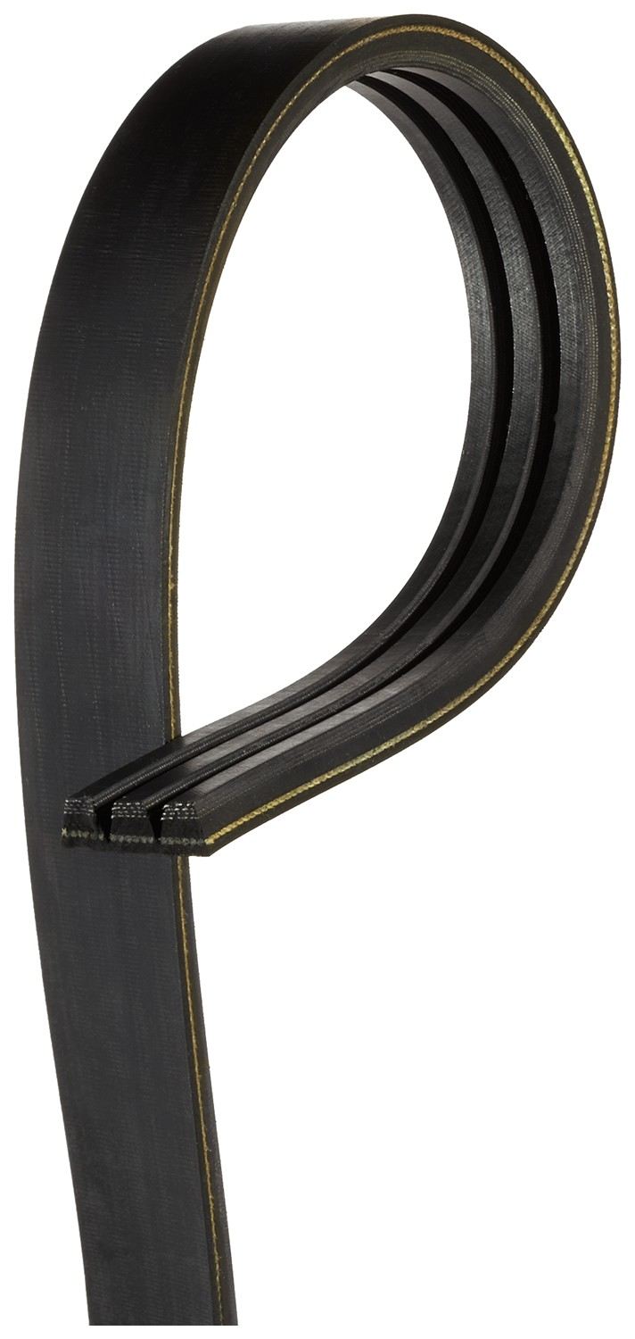 Gates Accessory Drive Belt 6670BR
