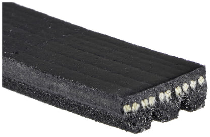 Gates Accessory Drive Belt 7047BR image 3