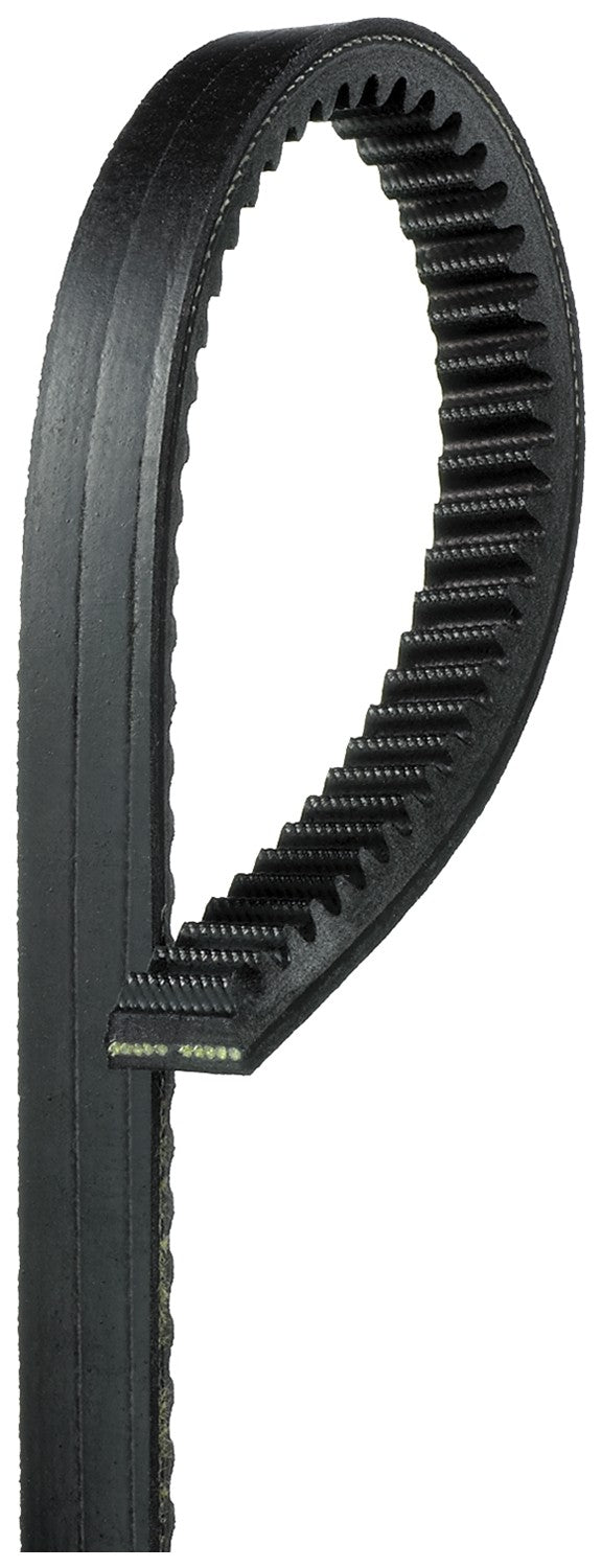 Gates Accessory Drive Belt BX60