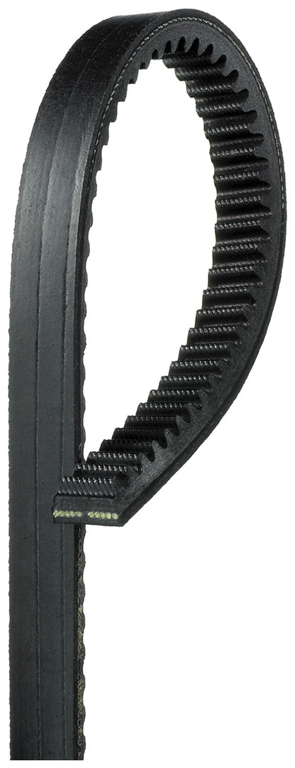 Gates Accessory Drive Belt BX60