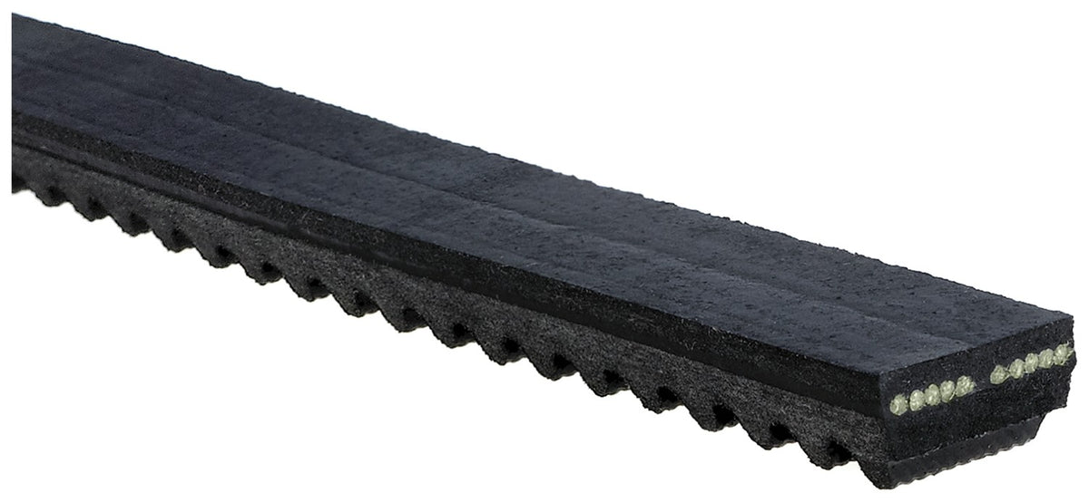 Gates Accessory Drive Belt CX81