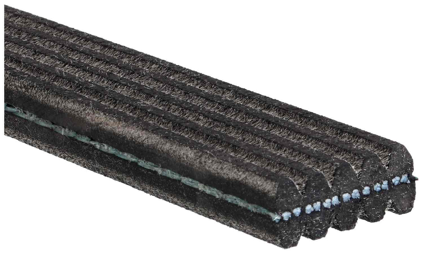 Gates Serpentine Belt DK050565