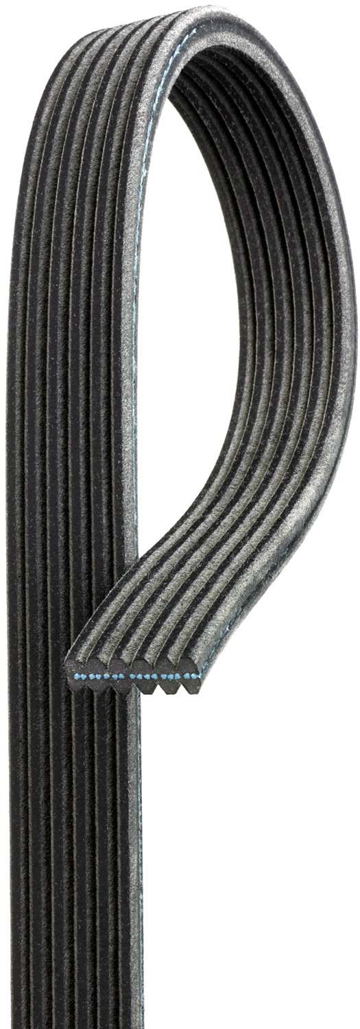 Gates Serpentine Belt DK050565
