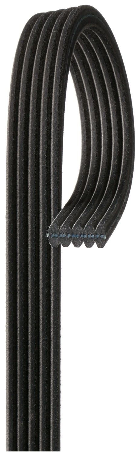 Gates Serpentine Belt DK050565