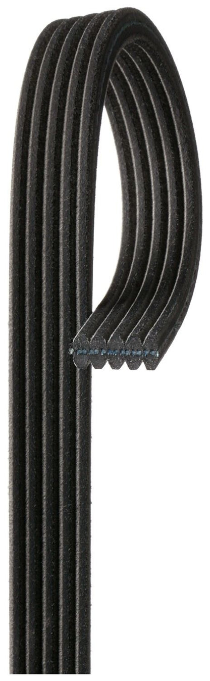 Gates Serpentine Belt DK050565