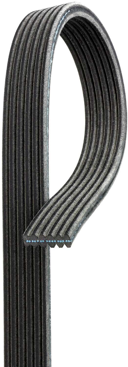 Gates Serpentine Belt DK060504