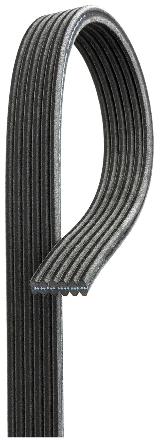 Gates Serpentine Belt DK060504
