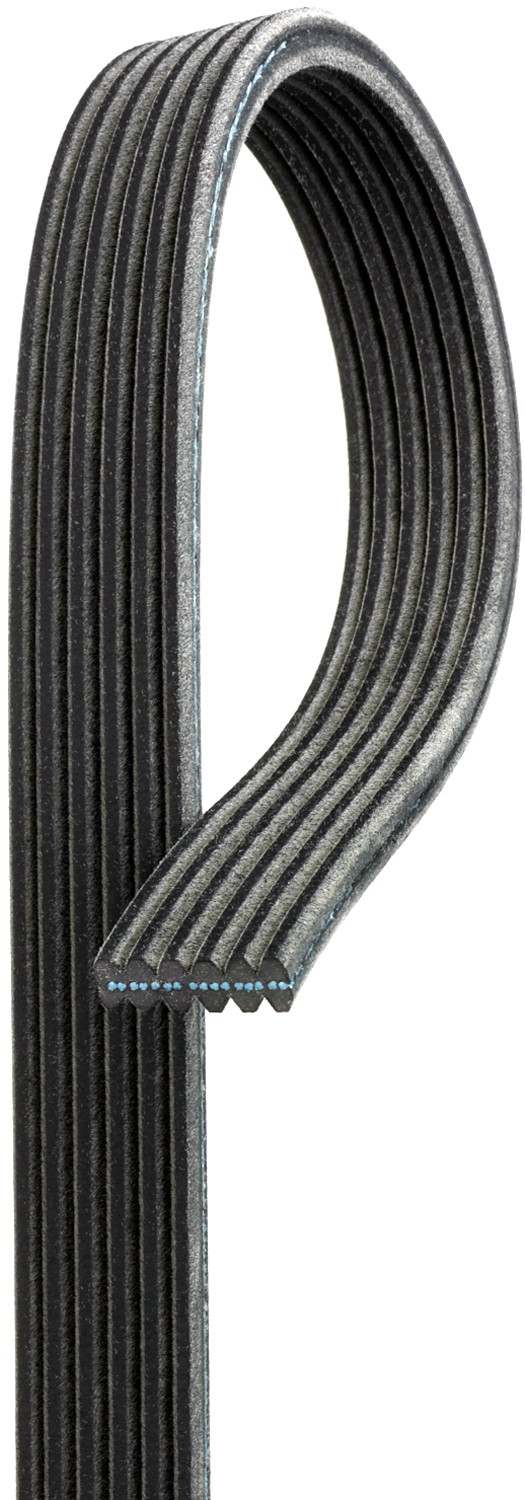 Gates Serpentine Belt DK060901