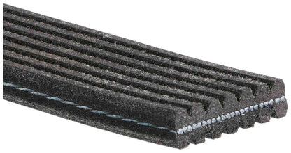 Gates Serpentine Belt DK070817