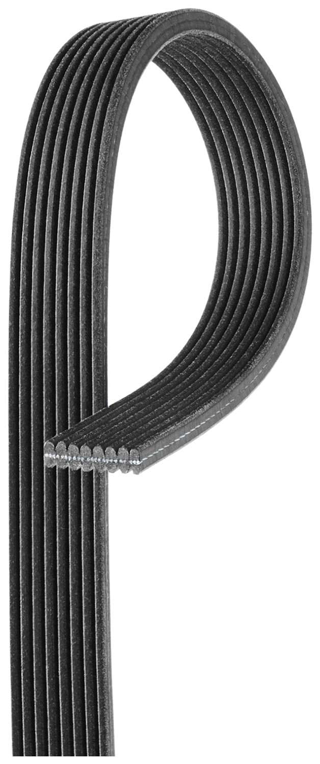 Gates Serpentine Belt DK080555