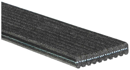 Gates Serpentine Belt DK100743