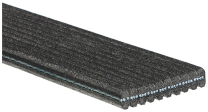 Gates Serpentine Belt DK100743