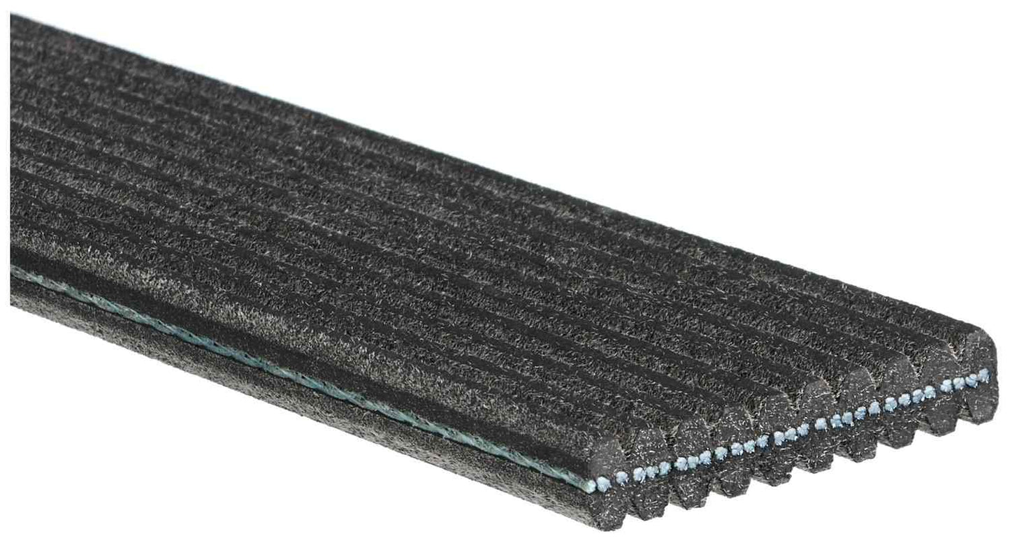 Gates Serpentine Belt DK100744