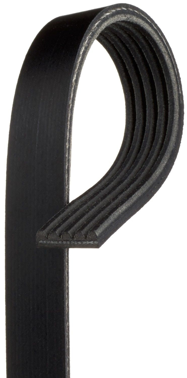 Gates Serpentine Belt