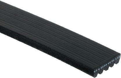 Gates Serpentine Belt