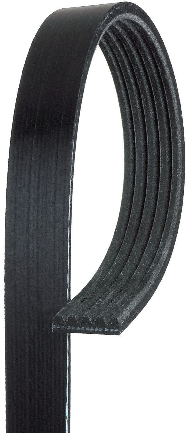 Gates Serpentine Belt K050390