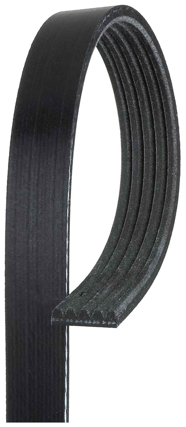 Gates Serpentine Belt K050545