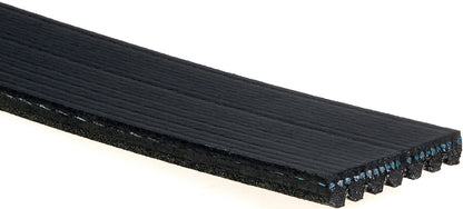 Gates Serpentine Belt