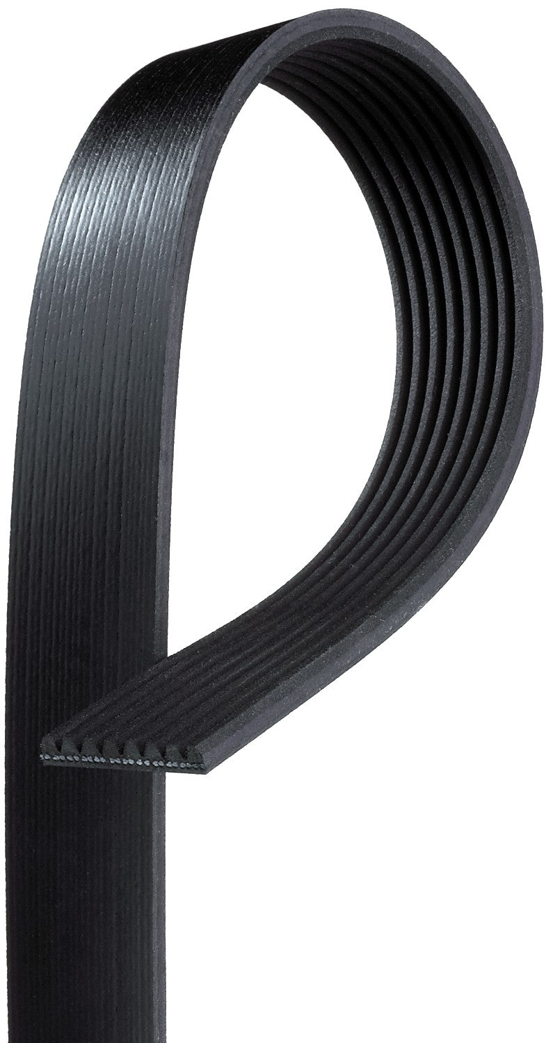 Gates Serpentine Belt K080610