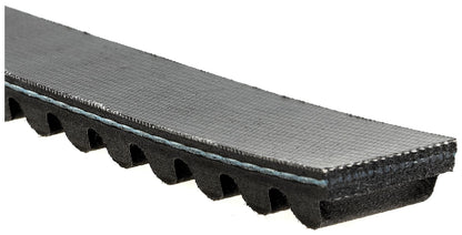 Gates Automatic Continuously Variable Transmission (CVT) Belt PL30210