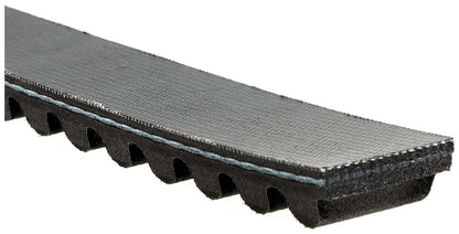 Gates Automatic Continuously Variable Transmission (CVT) Belt PL30705