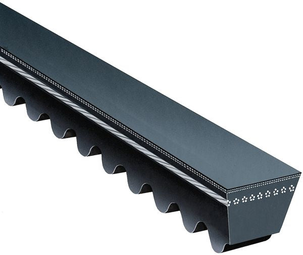 Gates Accessory Drive Belt TR22553