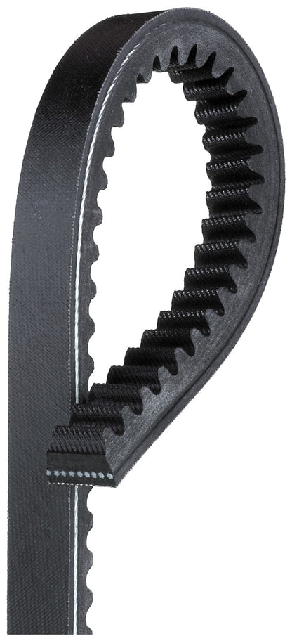 Gates Accessory Drive Belt TR24562