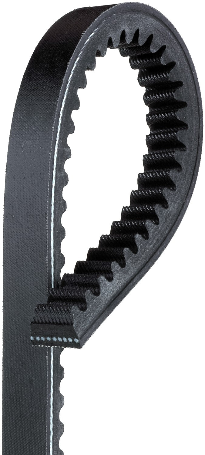 Gates Accessory Drive Belt TR32513