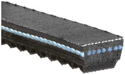 Gates Accessory Drive Belt XPA1000