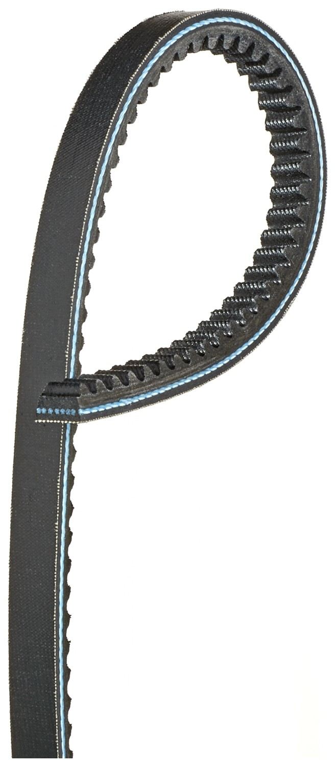 Gates Accessory Drive Belt XPA1000