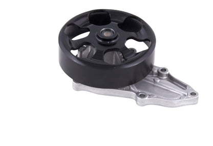Gates Engine Water Pump 42213