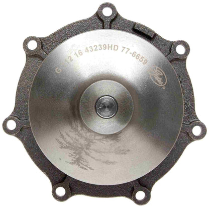 Gates Engine Water Pump 43239HD